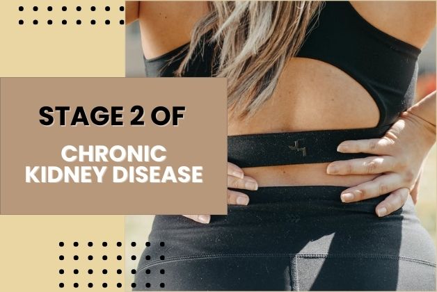 Stage 2 of Chronic Kidney Disease