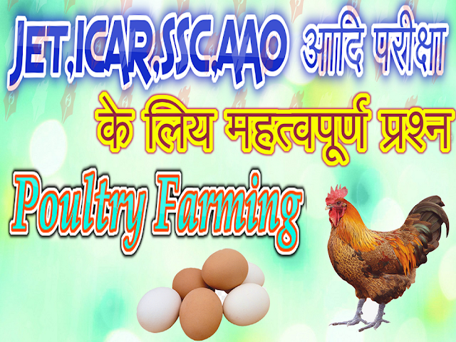 Jet agriculture question 2019,,.ICAR important question 2019,,,मुर्गीपालन से सम्न्धित महत्वपूर्ण प्रश्न group d  important question 2019