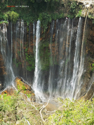 tumpak sewu lumajang