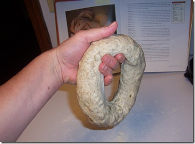 BBA-sunflower-seed-rye 025