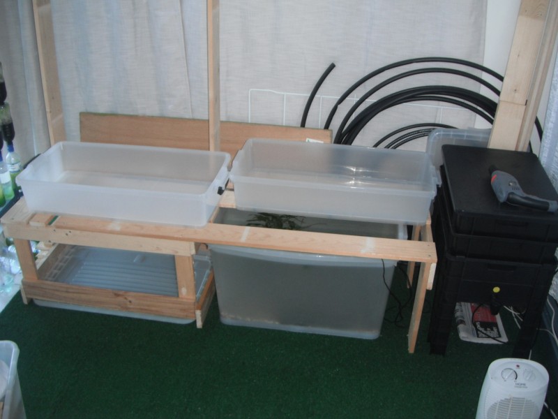Aquaponic System with Fish Tank