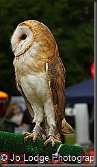 IMG_7307