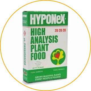 Hyponex 20-20-20 Balanced nutrient content in all growth phases. This fertilizer contains a balanced NPK of 20: 20: 20, micro elements, and vitamins. Very useful for a variety of flower plants, even for orchids that require special care. You can easily dissolve this fertilizer to sprinkle it on plants or spray on the leaves. This fertilizer can be used in all growth phases, including for vegetative growth. In addition, it is also good for increasing the volume and number of leaves, and for helping to stimulate the blooming of flowers. If you are looking for a balanced NPK composition, Hyponex can be the right choice.