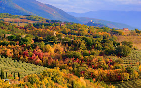 Los colores de la naturaleza (Autumn)