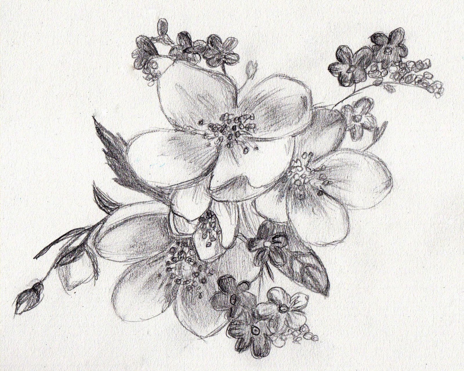 flower drawing