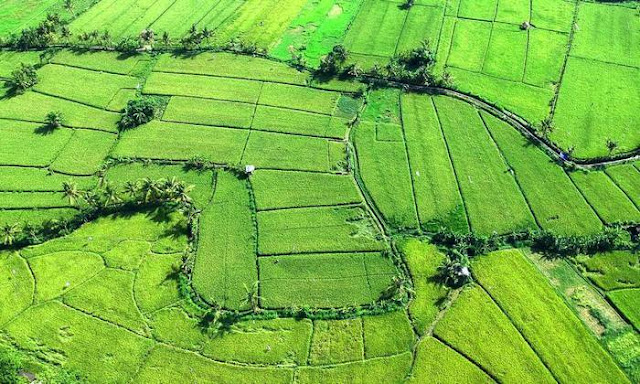 Pengertian Agraris Adalah