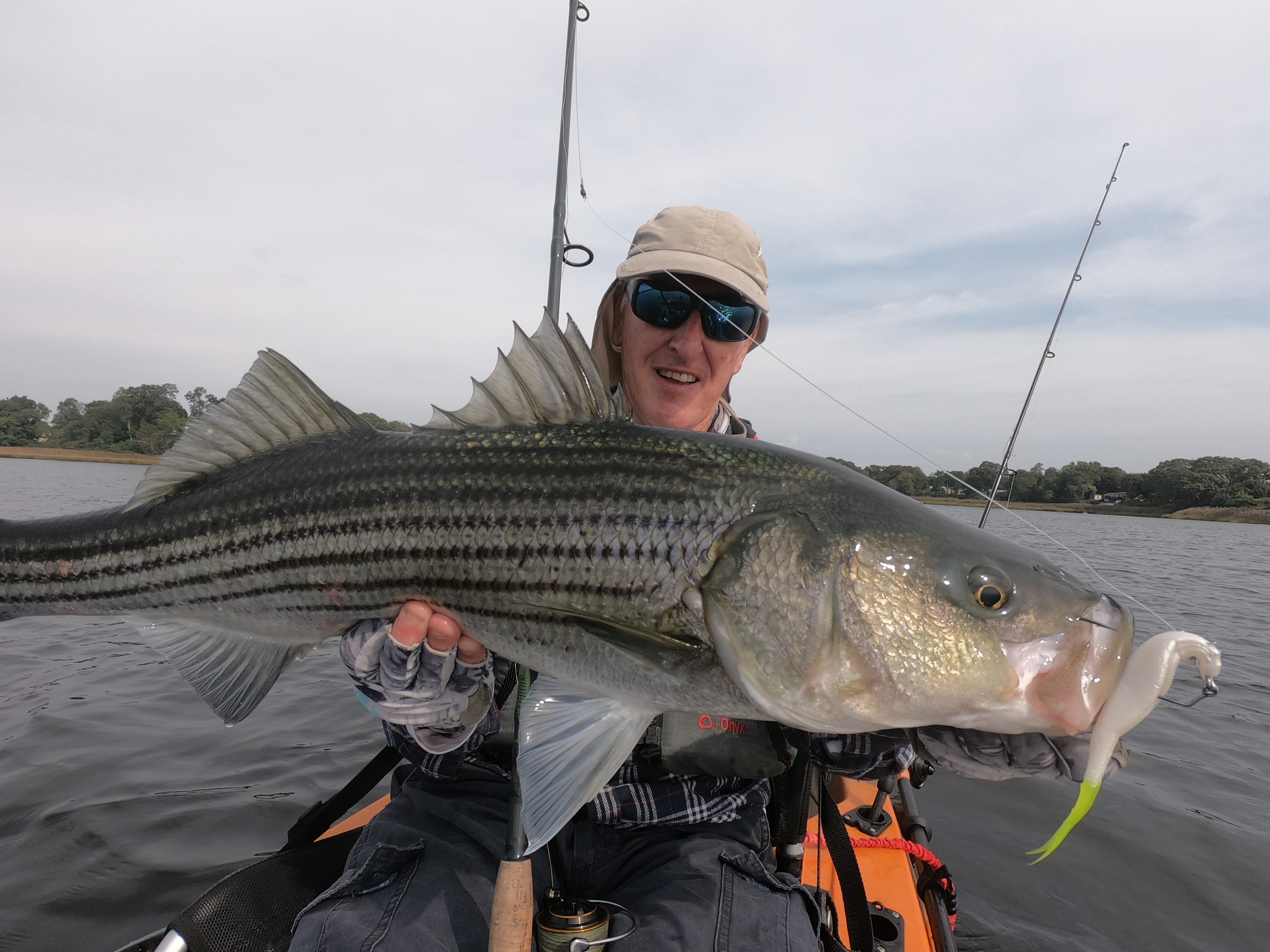 Rhode Island Striped Bass: 2023