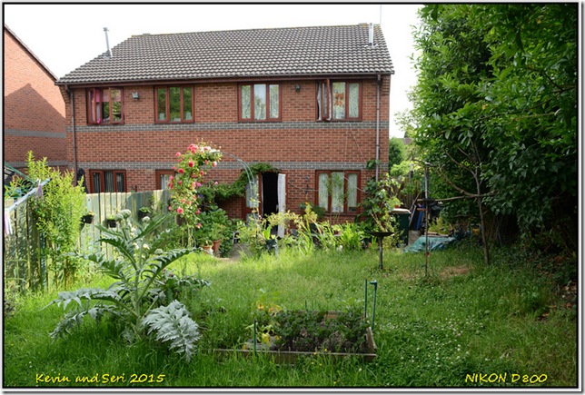 Shots from Home - June