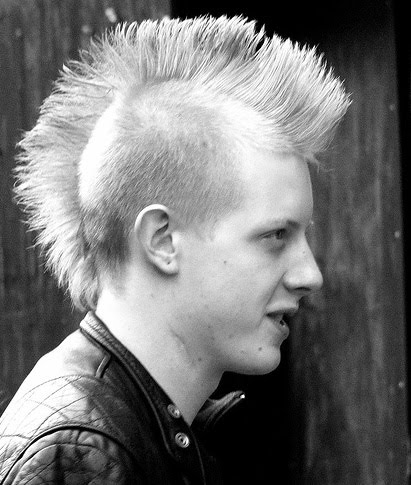 punk hairstyle pics. Punk Hair Style Picture 1