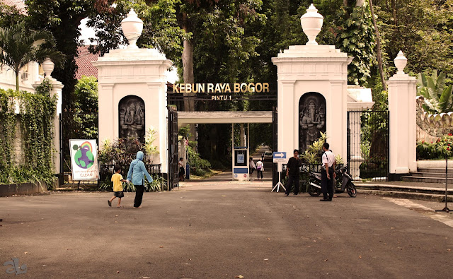 kebun raya bogor