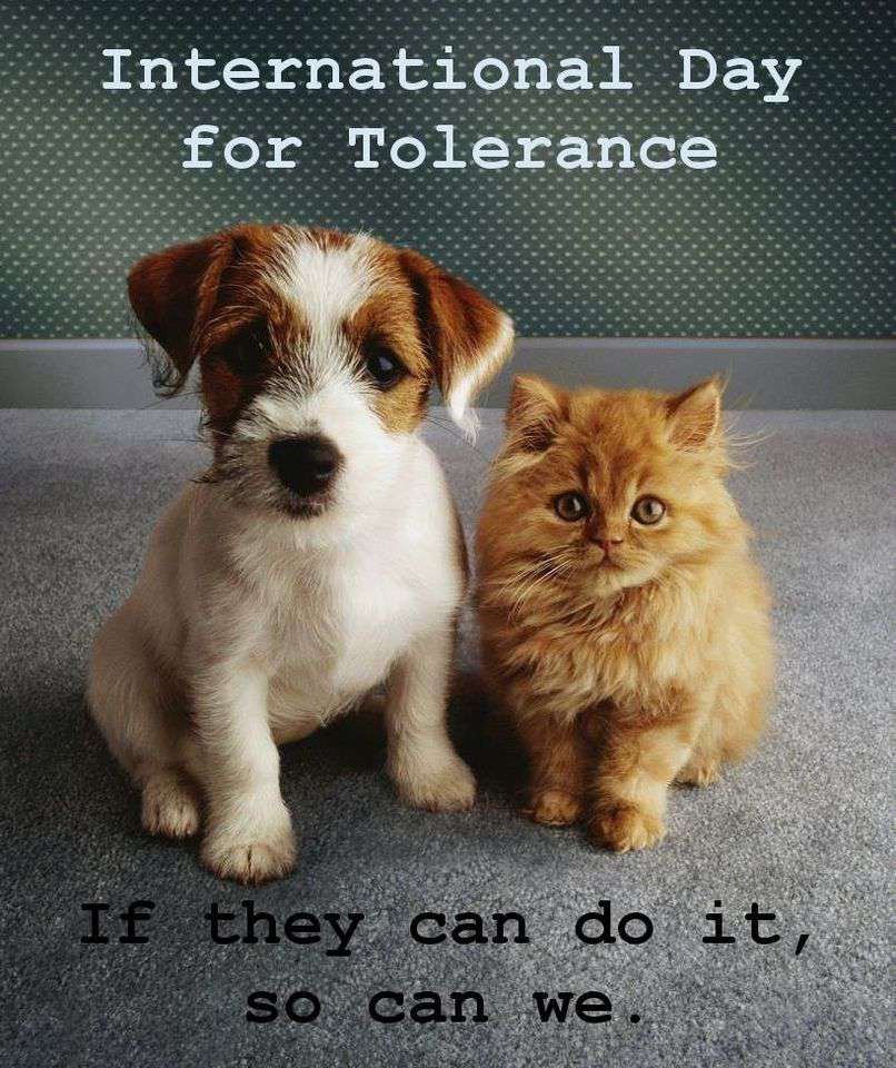 International Day For Tolerance Wishes Pics