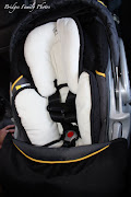 Car seat with extra padding for our little guy! (Thanks again Dad and Bev!) (car seat)