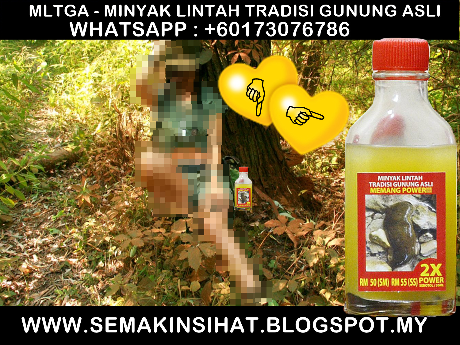 PEMBEKAL MINYAK LINTAH TRADISI GUNUNG ASLI : MANAFAAT ...