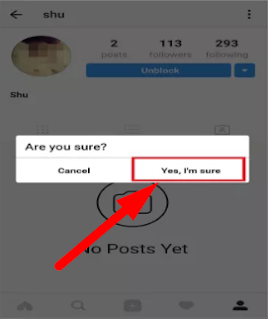 How to Delete Someone From Your Followers on Instagram