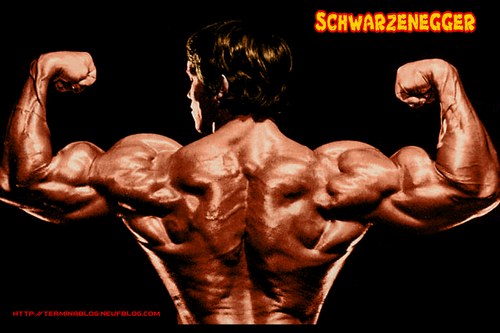 arnold schwarzenegger bodybuilding wallpaper. needbodybuilding arnold