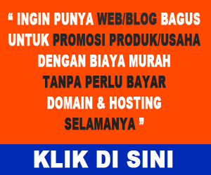 jasa web blog murah meriah