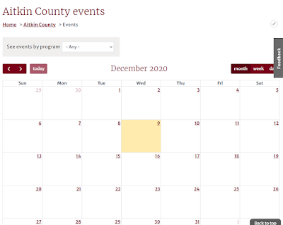 screenshot of calendar view