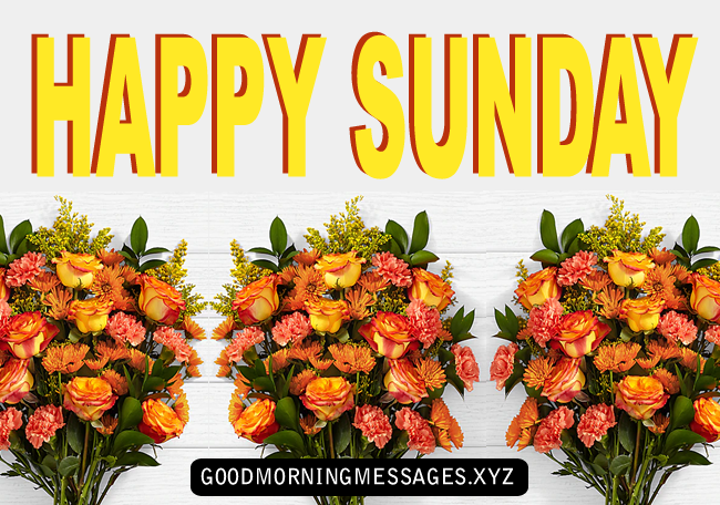 447+ Best} Happy Sunday Good Morning Images 2021 [HD]