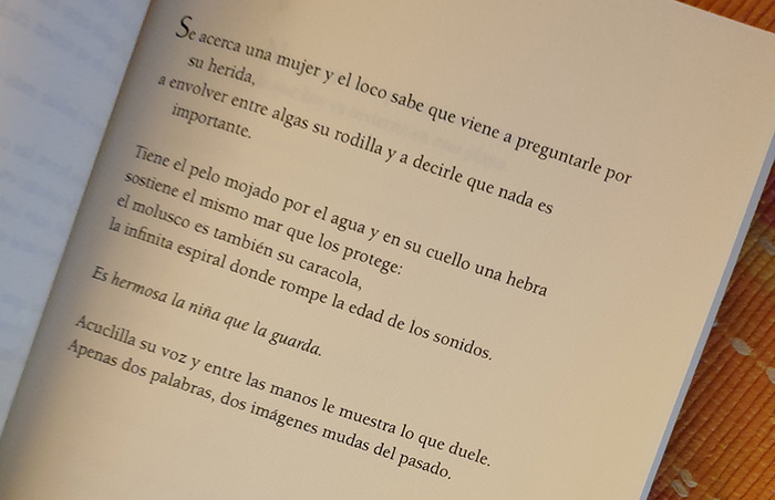 Un poema de «Memoria albina» de María Alcantarilla (Pre-textos)