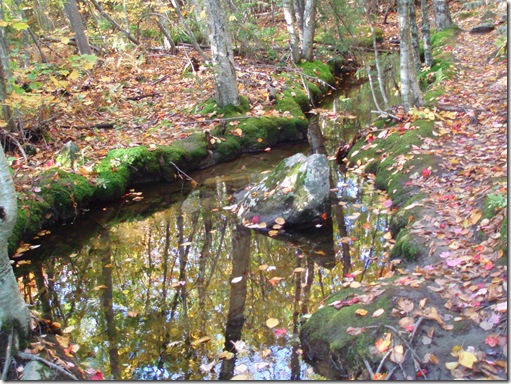 Bald Mountain 004