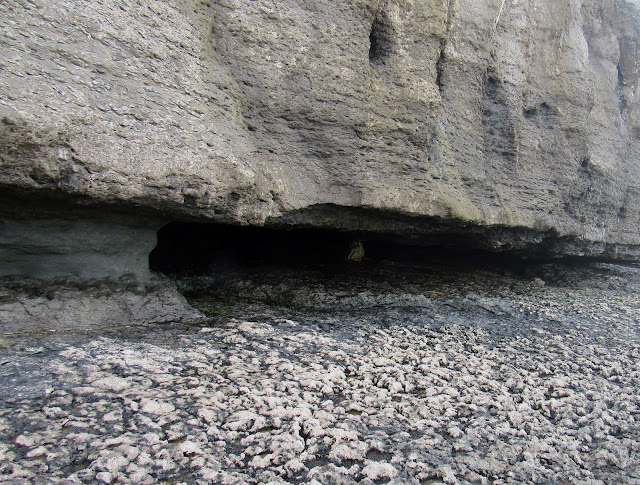 La cueva se ha excavada por un nivel blando en la roca.