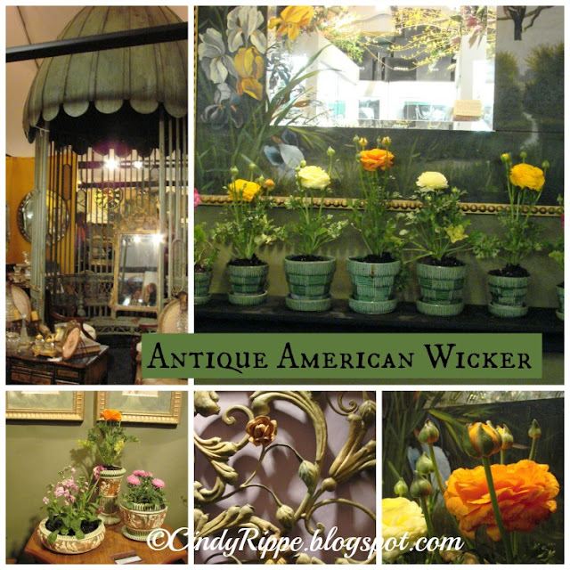 Chicago Botanic Garden, Antiques and Garden Fair 2013, Flowering plants in pots, Florals-Family-Faith, Cindy Rippe