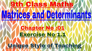 CHAPTER 1:Notes pdf MATRICES AND DETERMINANTS