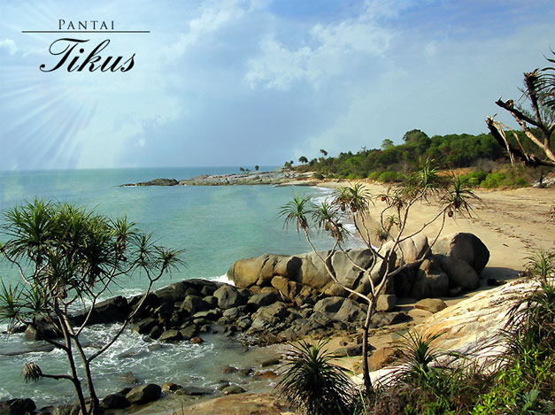 Pantai Tikus Bangka 