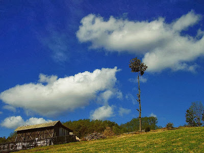 Selo Živica