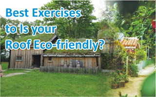 Best Exercises to Is your Roof Eco-friendly?