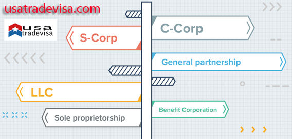 LLC, S-CORP, C-CORP, corporation, usatradevisa.com