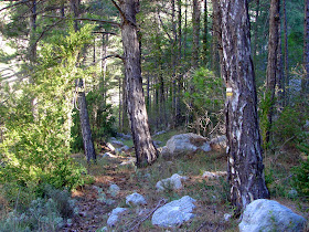 Senderismo - Portell de Morella - Rambla Sellumbres PR-CV 408
