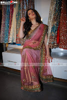 Zareen Khan Pink Sarees Photos