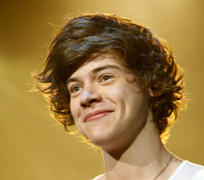 HARRY STYLES HAIRCUT