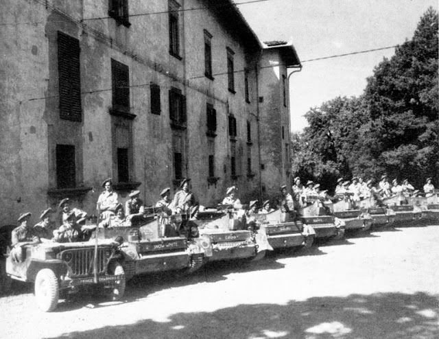 South African 6th Armoured Division, First City/Cape Town Highlanders, Italy 1944, 1945