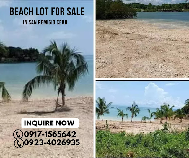 Beach Lot in San Remigio Cebu