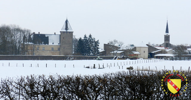 Fléville-les-Nancy - Château et village enneigés