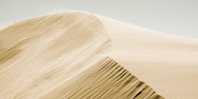 Sand Dunes in Windy Weather