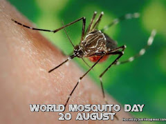 Sambutan Hari Nyamuk Sedunia, World Mosquito Day