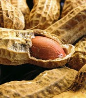 Surprising Benefits Of Peanuts For Health, Especially To Reduce Cancer Risk