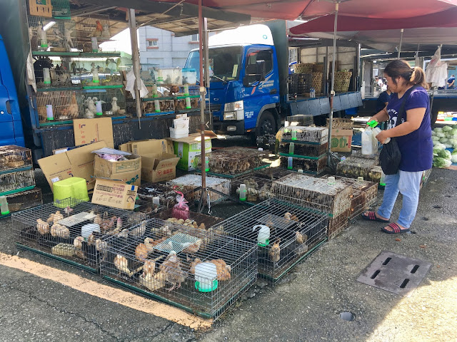 cow market, shanhua, tainan, taiwan