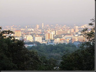 IMG_2247