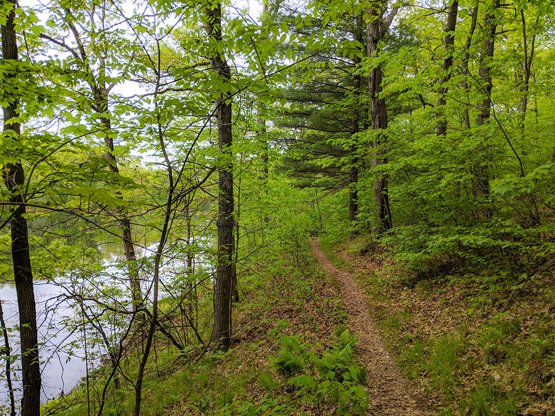 Along the Ice Age Trail Chippewa Moraine Segment