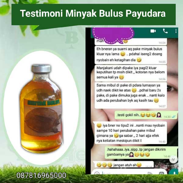 Testimoni Pemakai Minyak Bulus