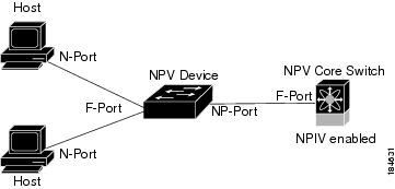 what is and how npv works in san switch