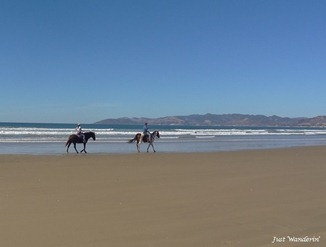 beach-2