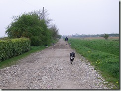Katie racing towards me
