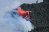 The Cable Crossing Fire burned east of Glide, Oregon on July 28, 2015.  (Credit: Jeffrey McEnroe, BLM/flickr) Click to Enlarge.