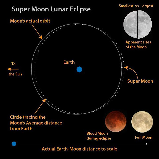 informacion sobre la luna de nieve