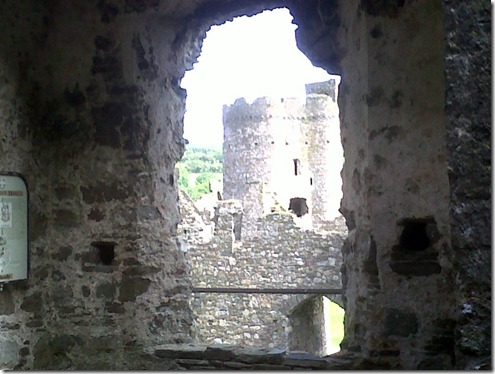 IMG00108-20110602-1053